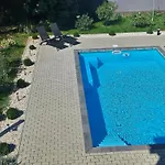 Oasis *