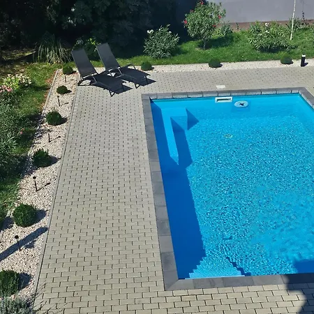 Oasis *